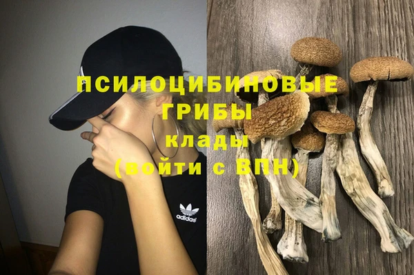 2c-b Балахна